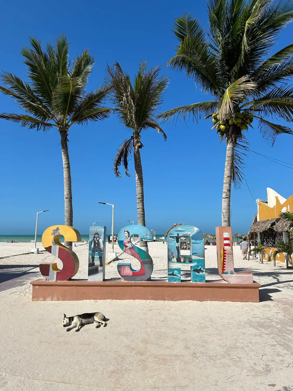 Sisal