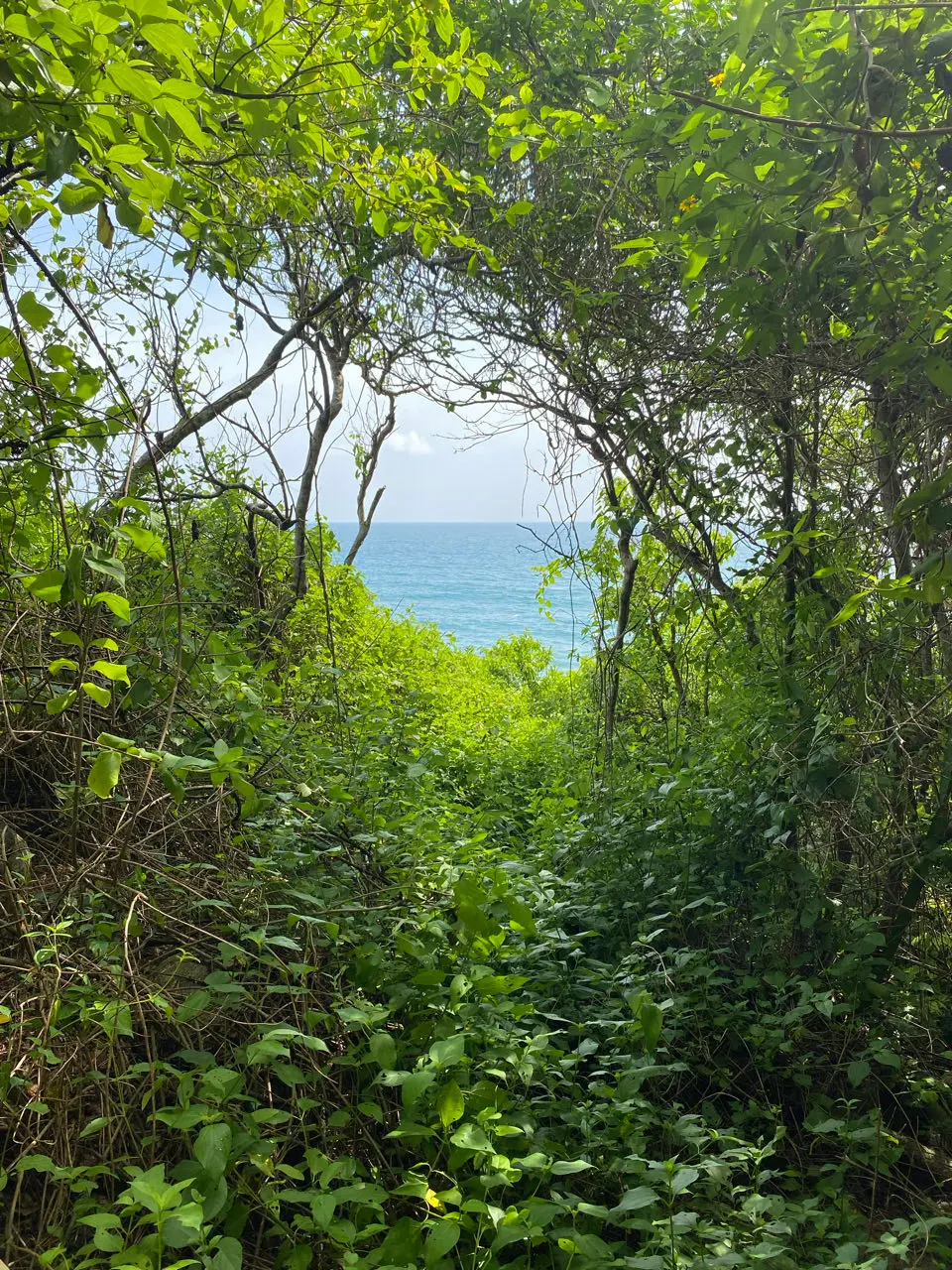 Santa marta