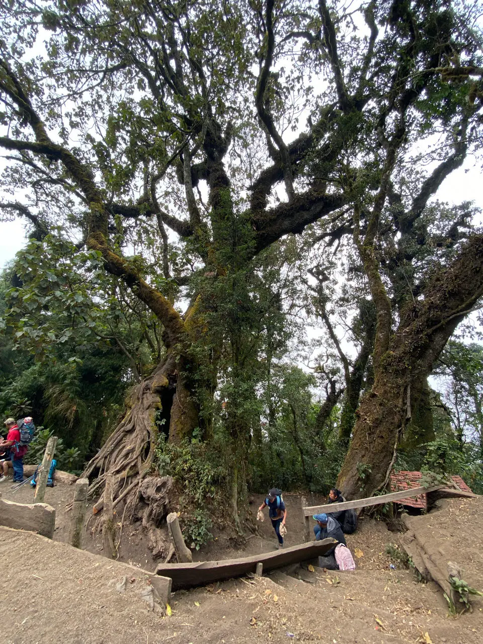 Alotenango