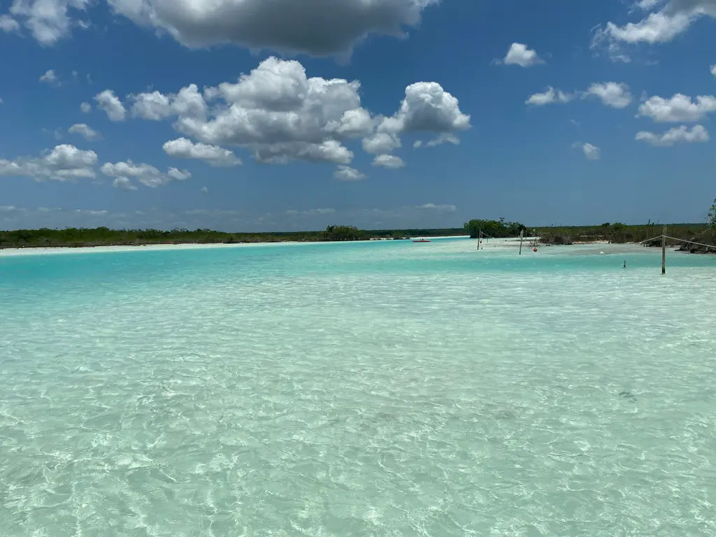 Bacalar