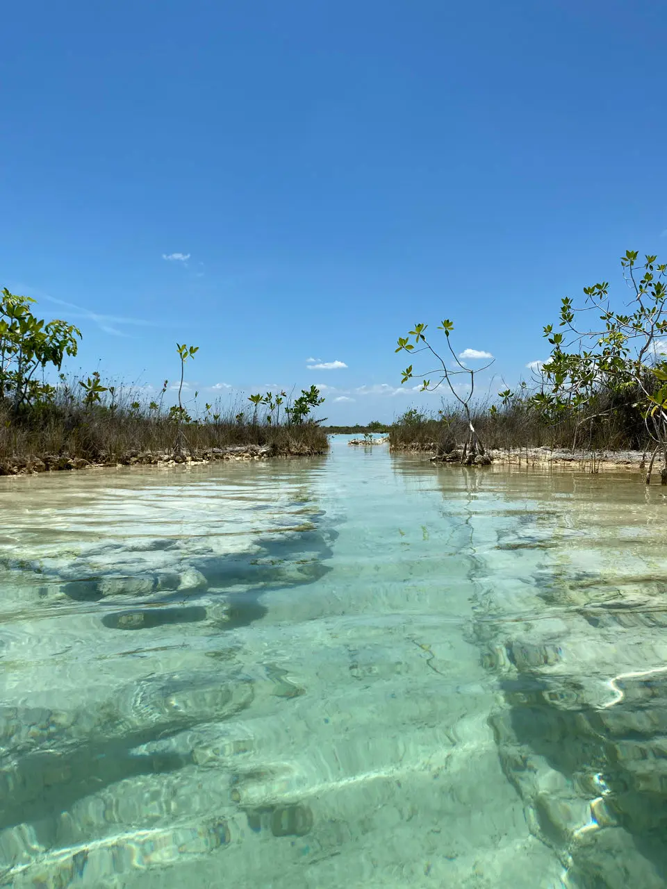 Los Rapidos 'Lagoon Club