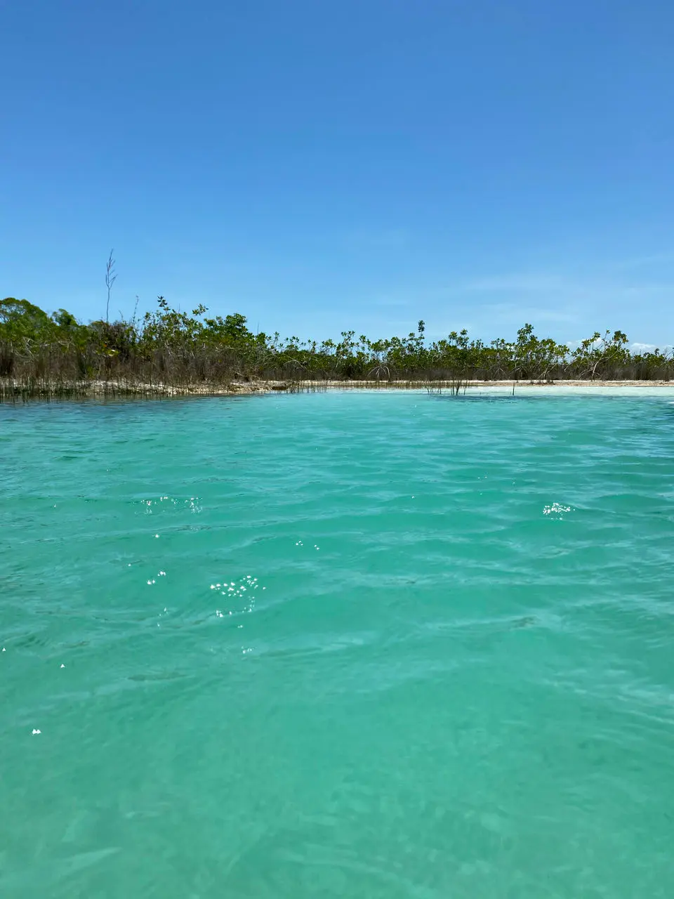 Los Rapidos 'Lagoon Club