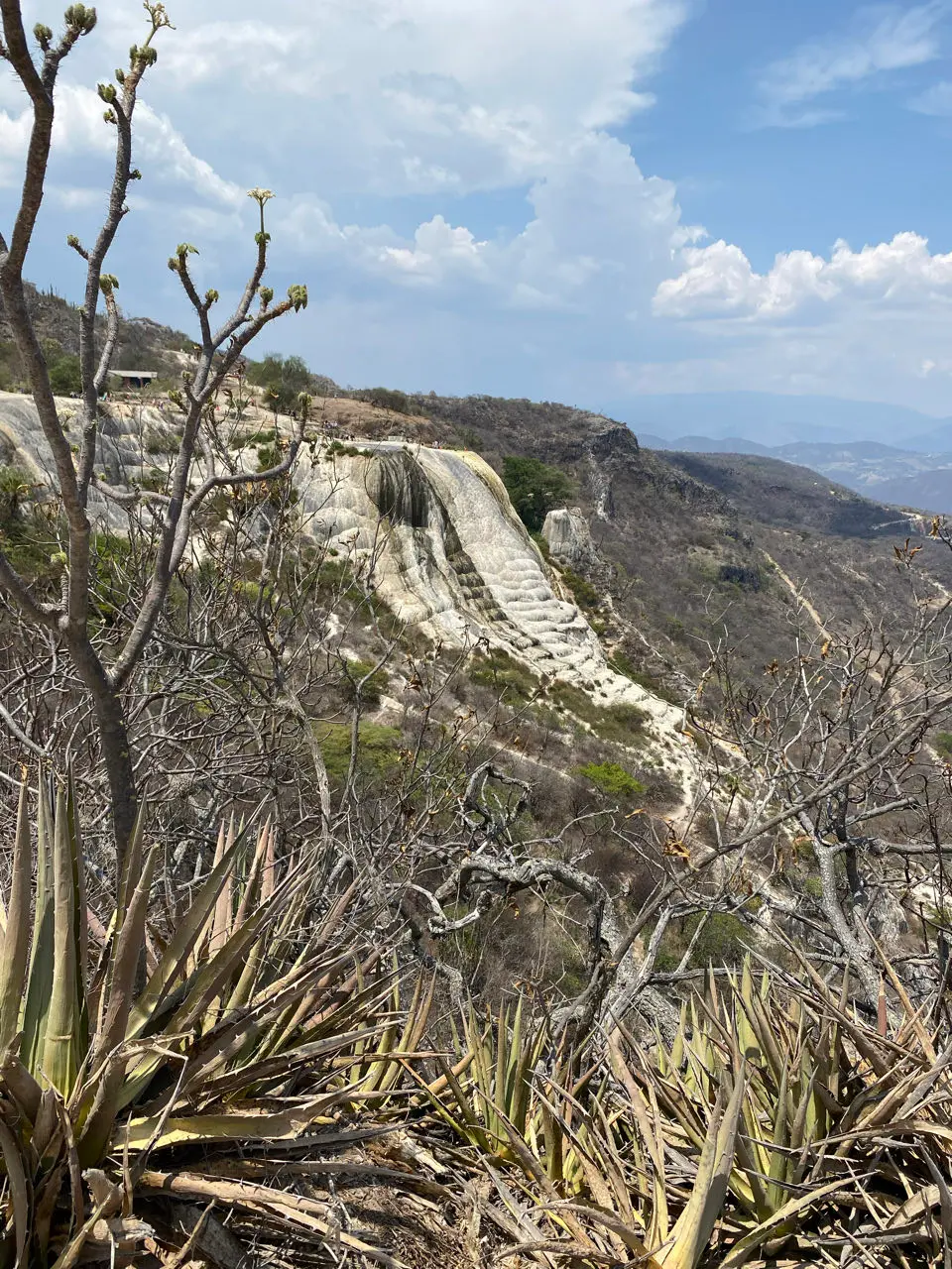 Oaxaca