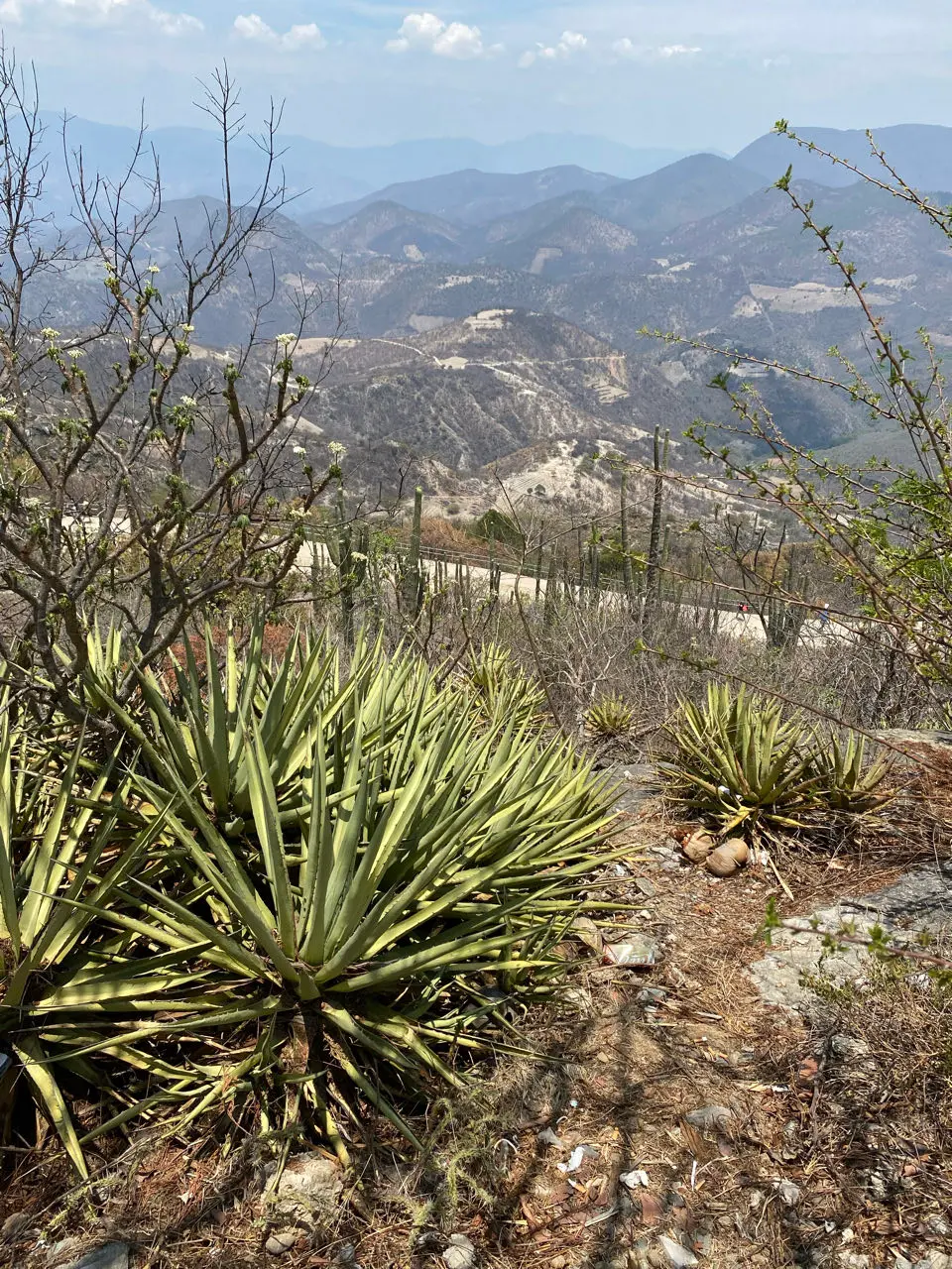 Oaxaca