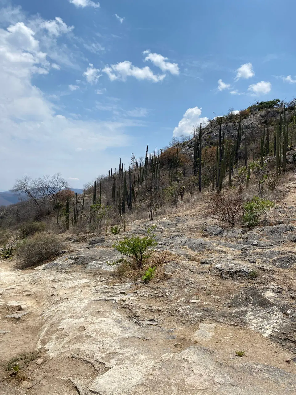 Oaxaca