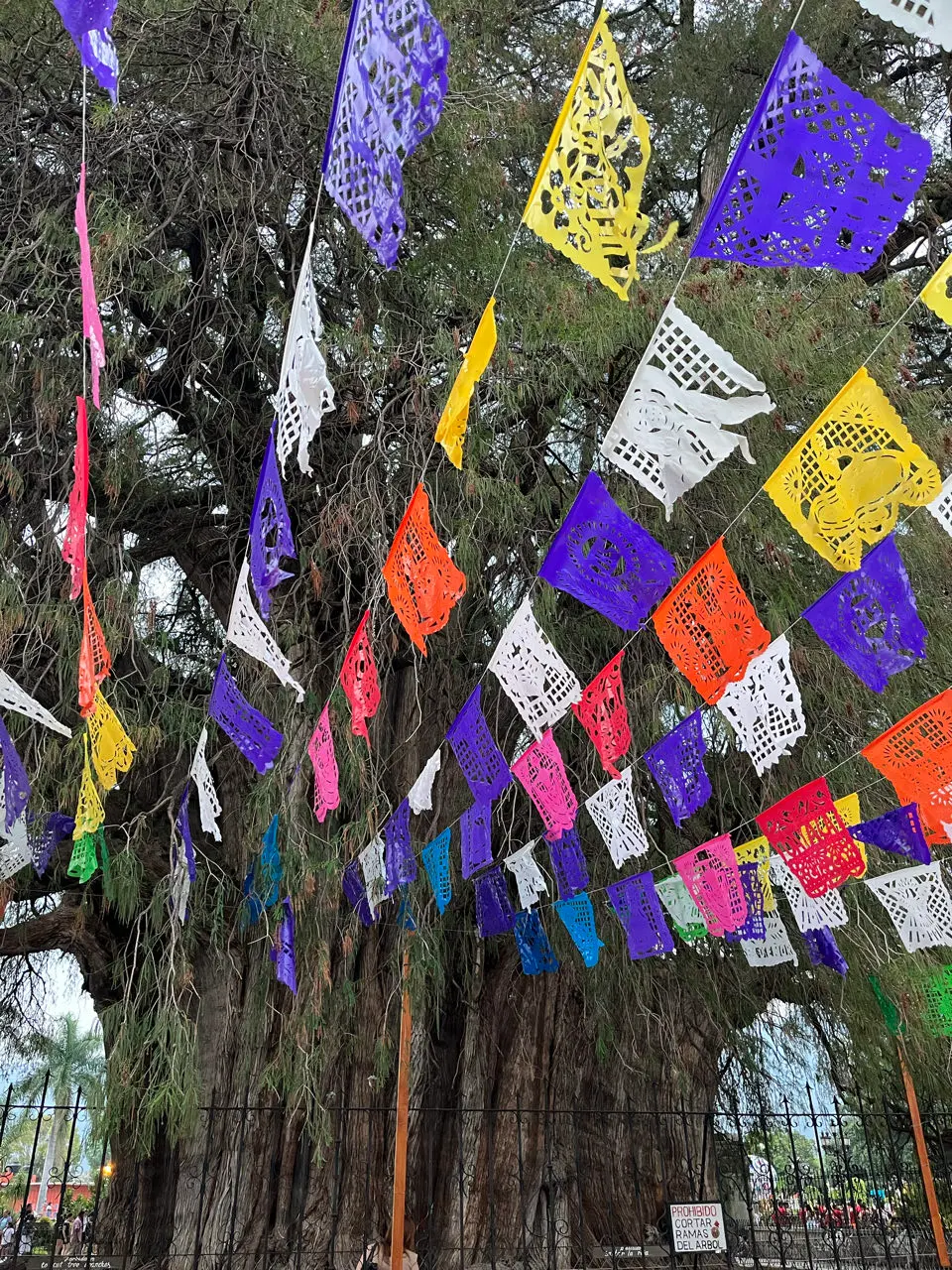 Oaxaca