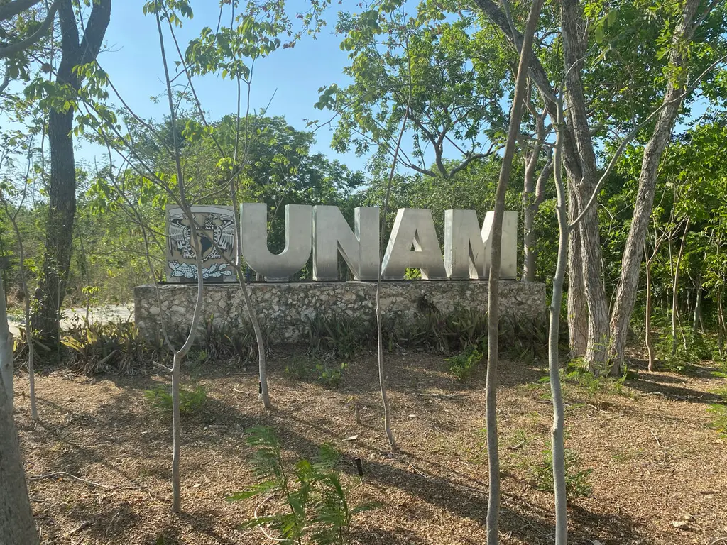 Ucú