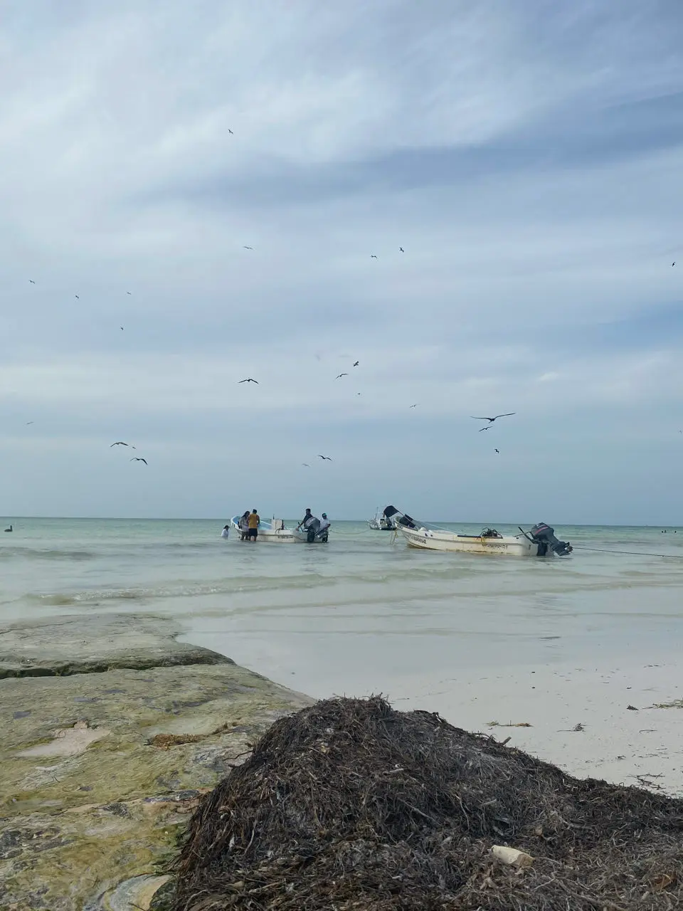 Holbox