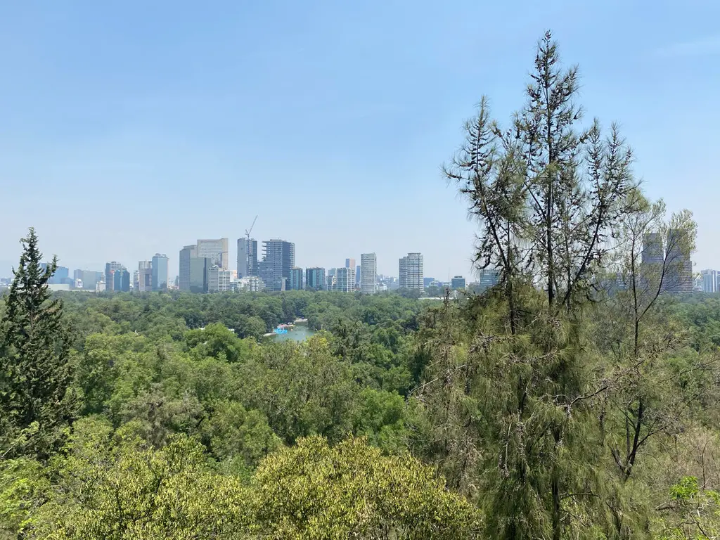 Mexico city