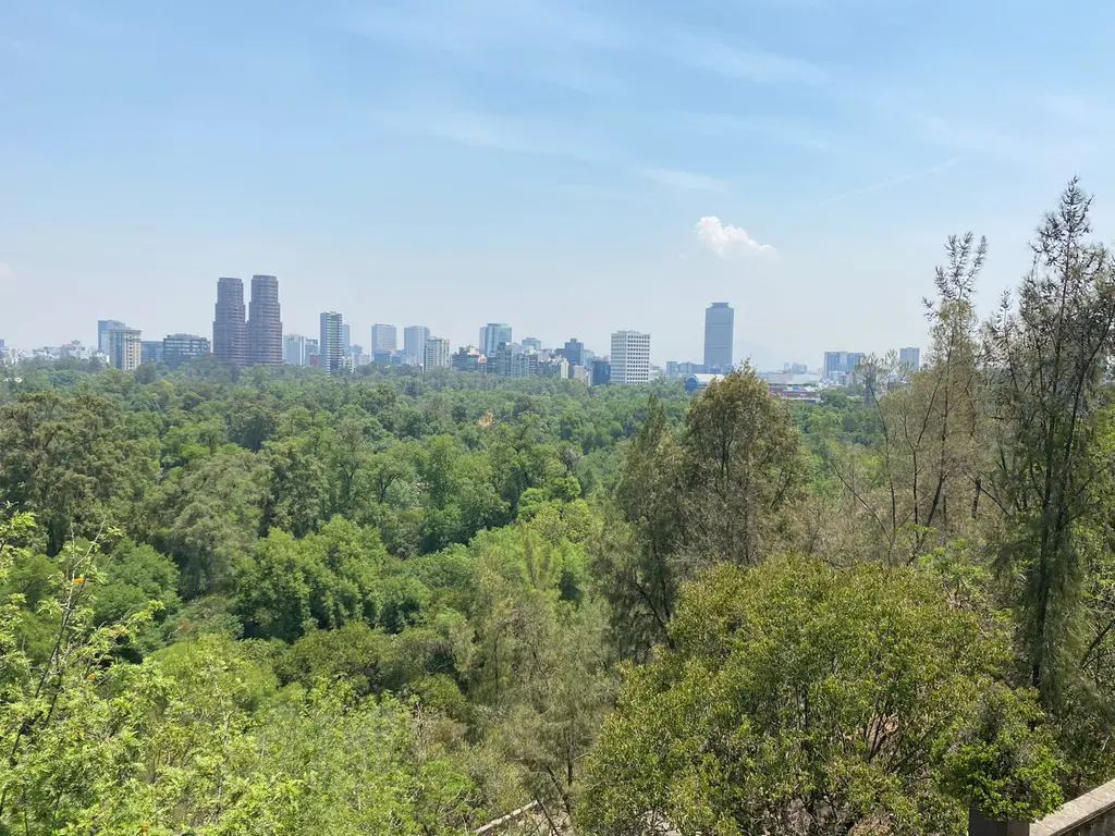 Mexico city