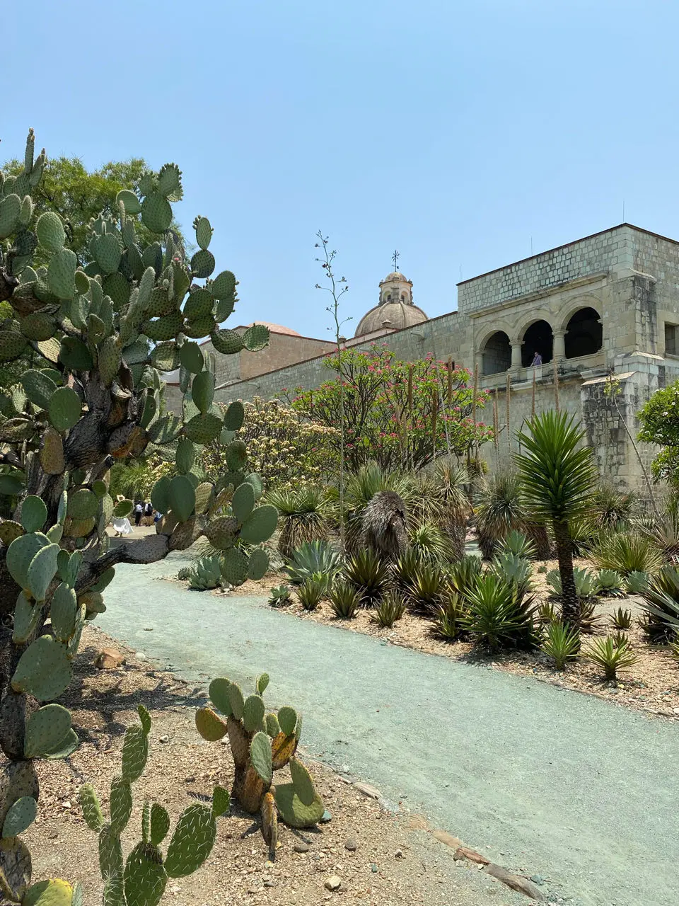 Oaxaca