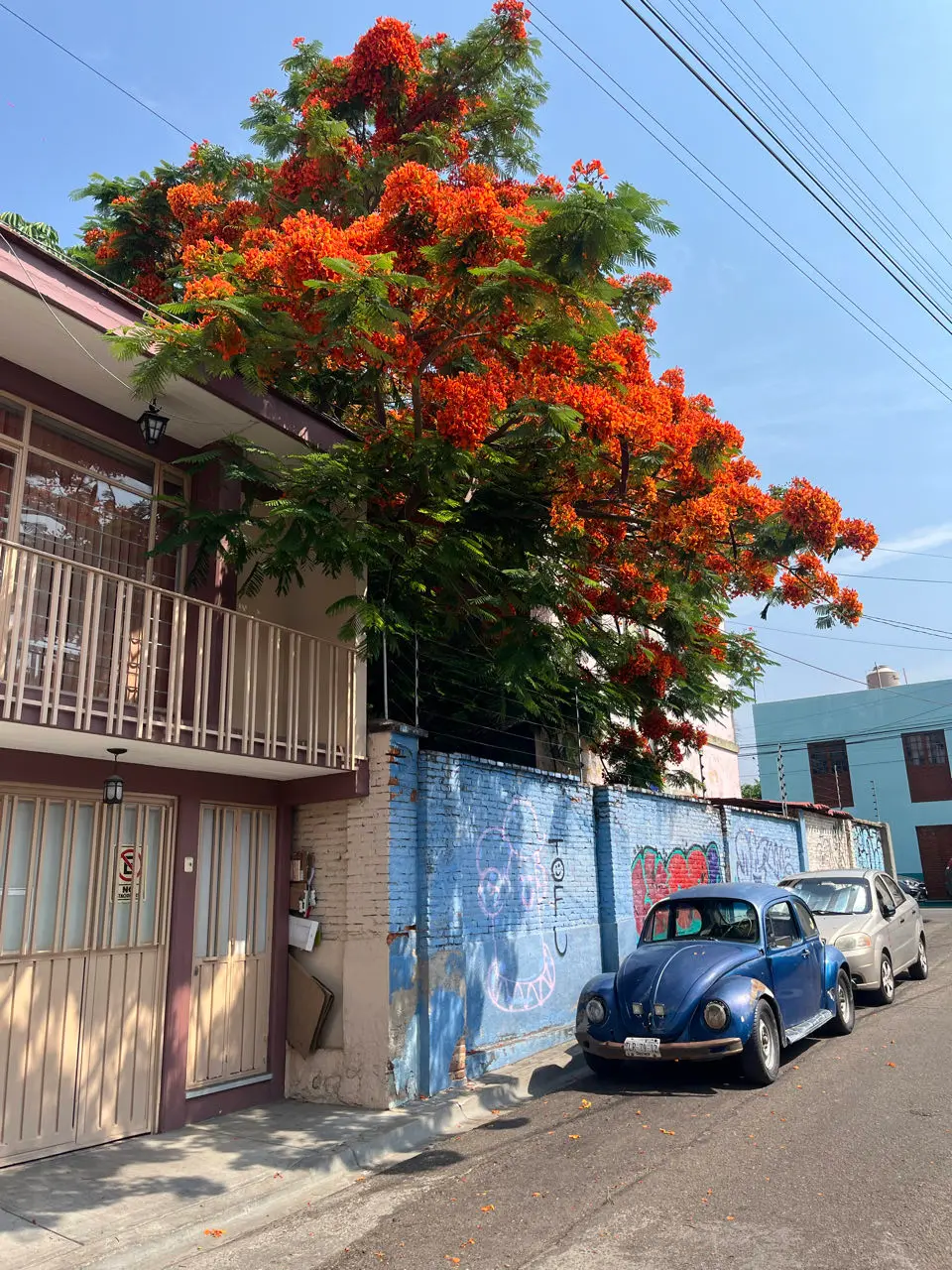 Oaxaca