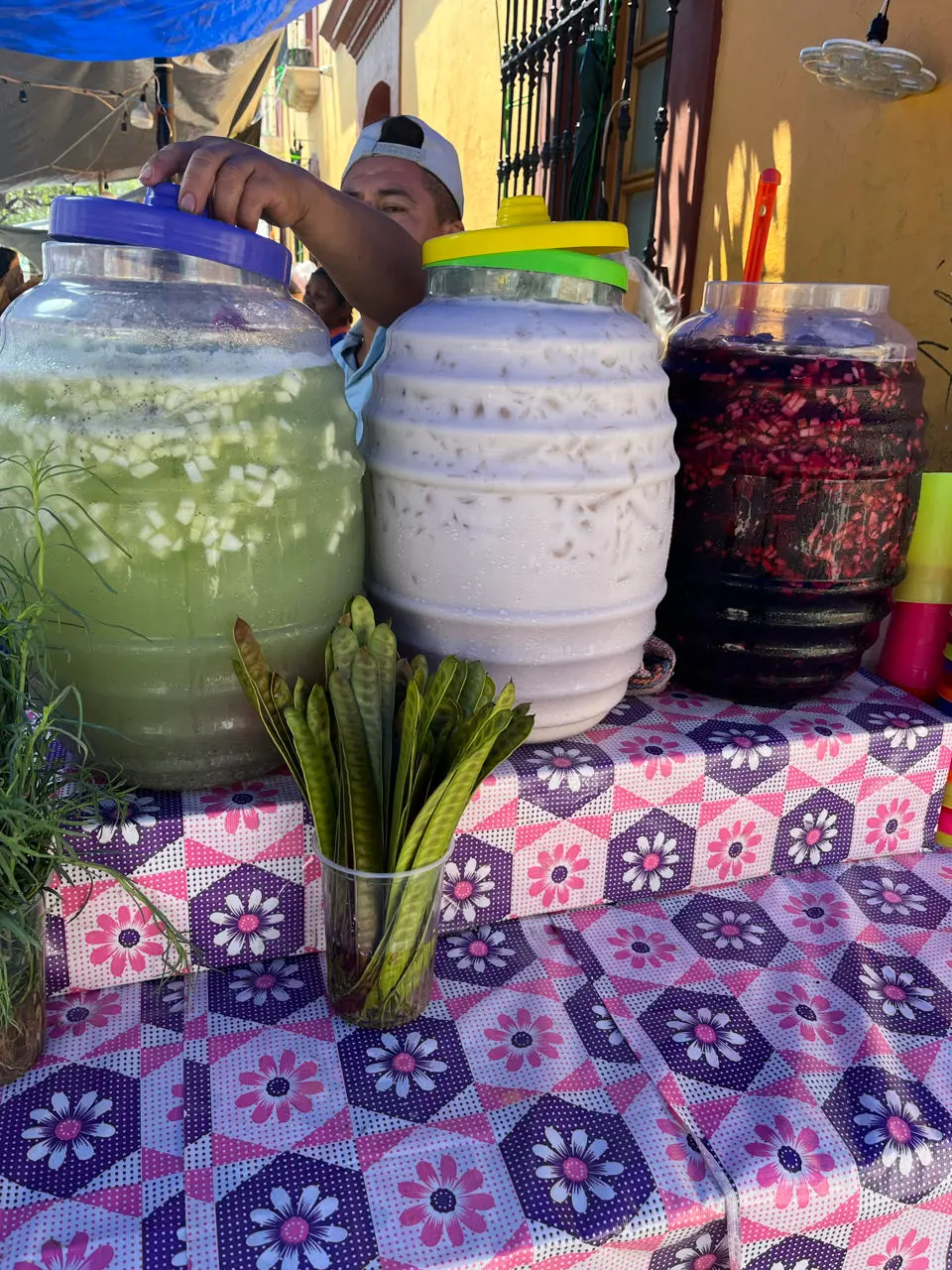 Oaxaca
