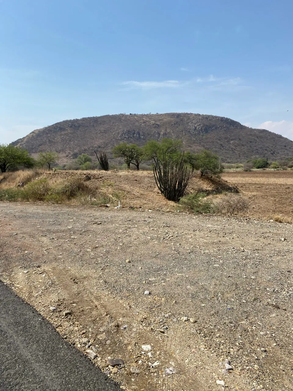 Mitla