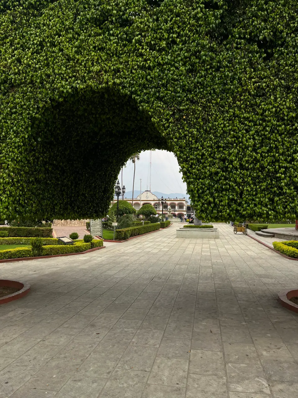 Oaxaca