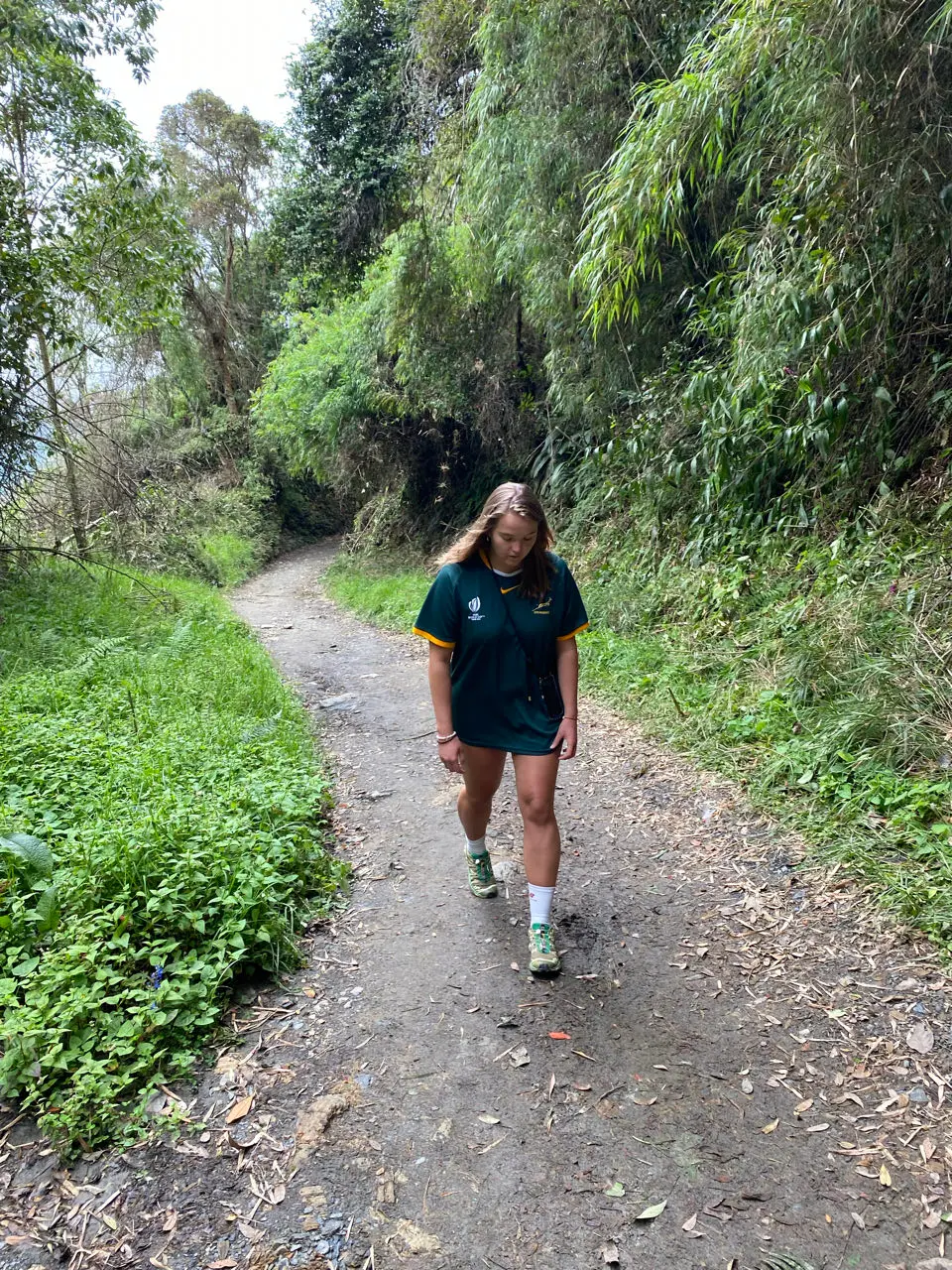 Valle de cocora