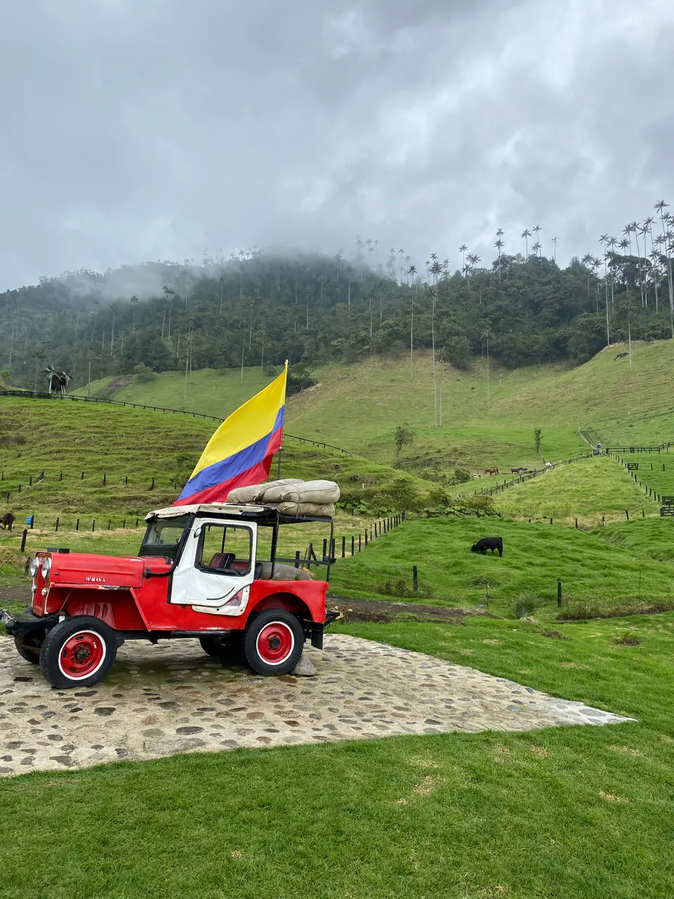 Valle de cocora