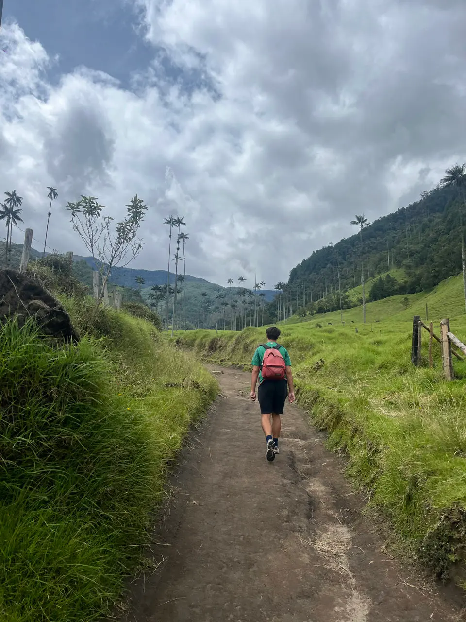 Cocora
