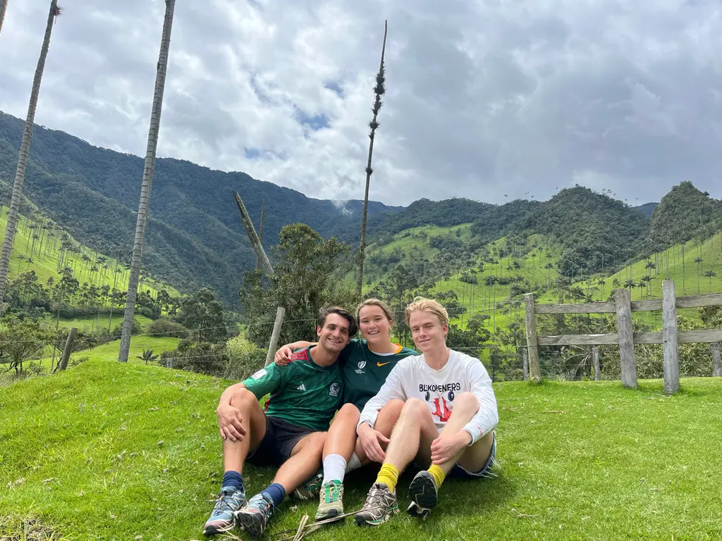 Cocora