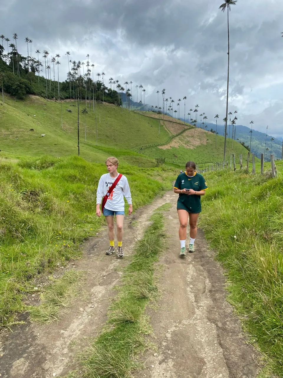 Valle de cocora