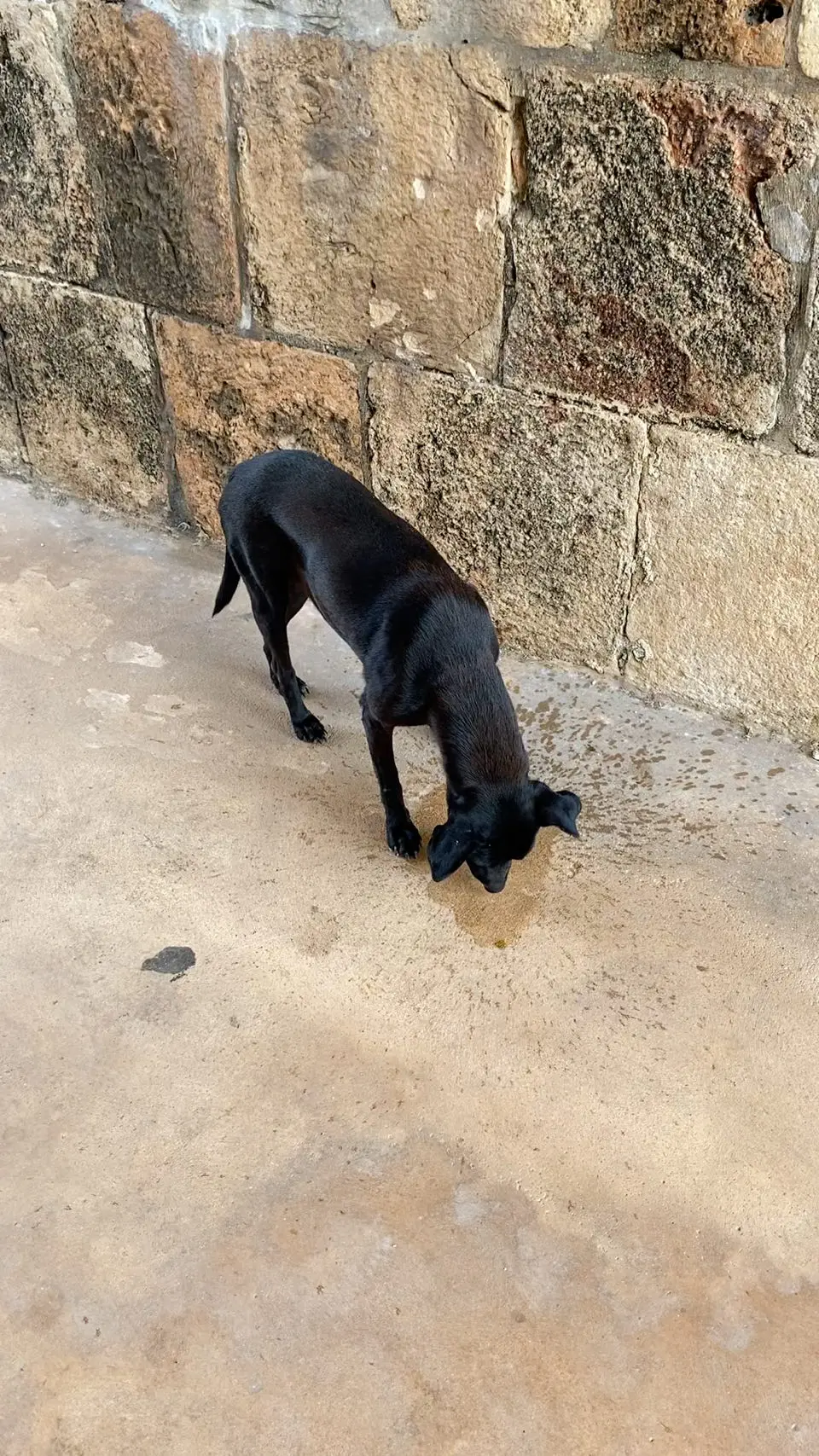 Uxmal