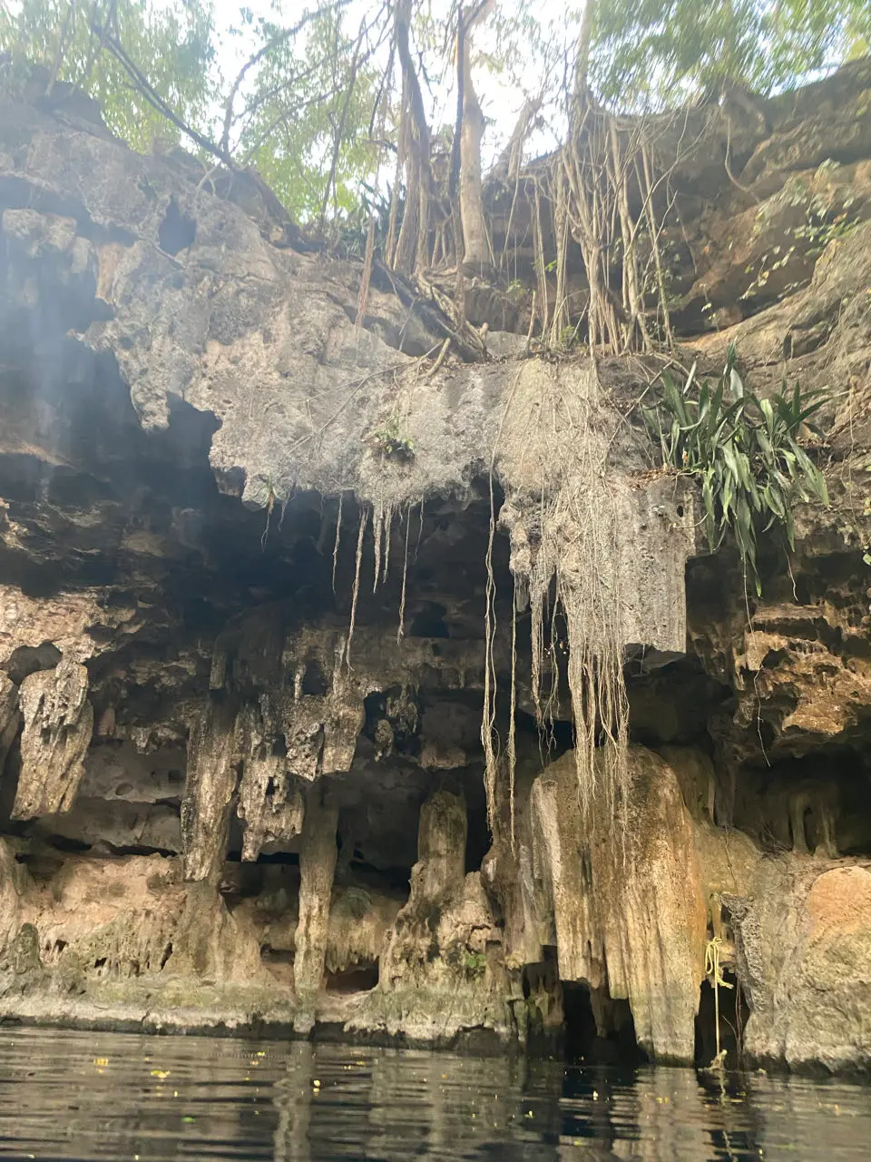 Mucuyché