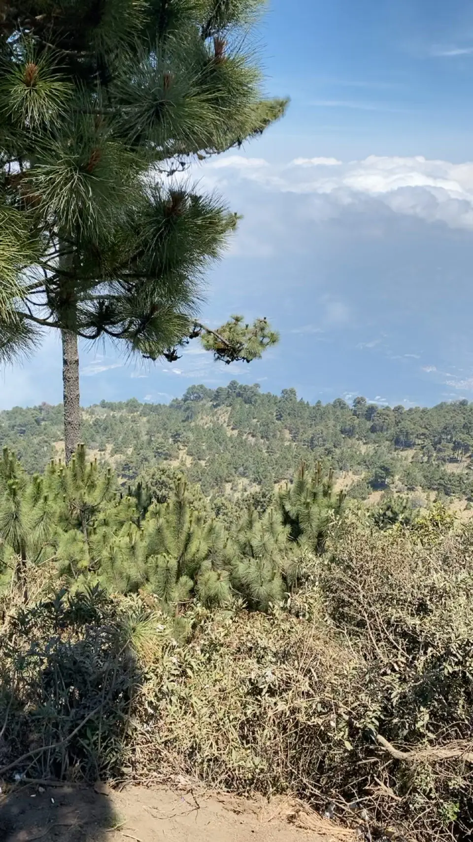 Acatenango