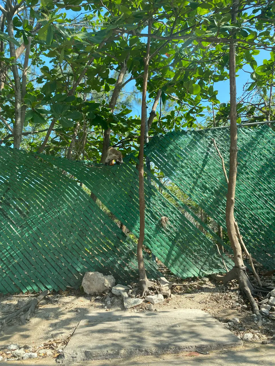 Cancún