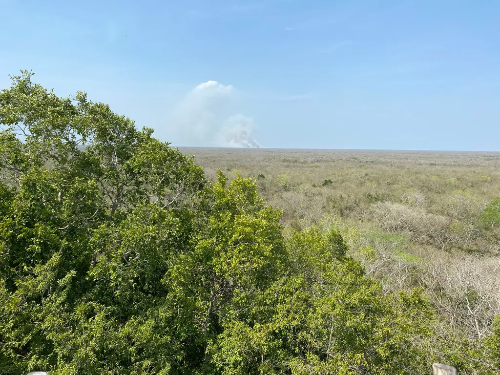 Santa Rita