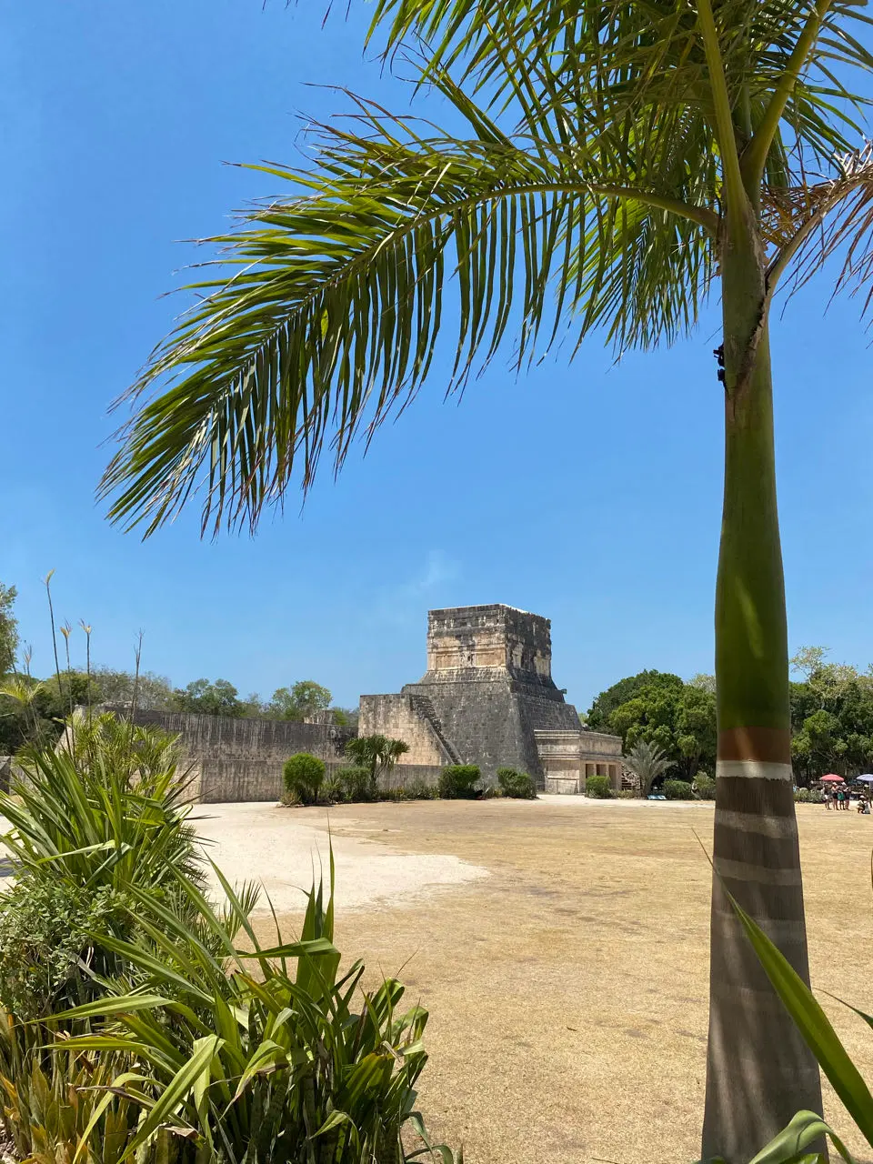 San Felipe Nuevo