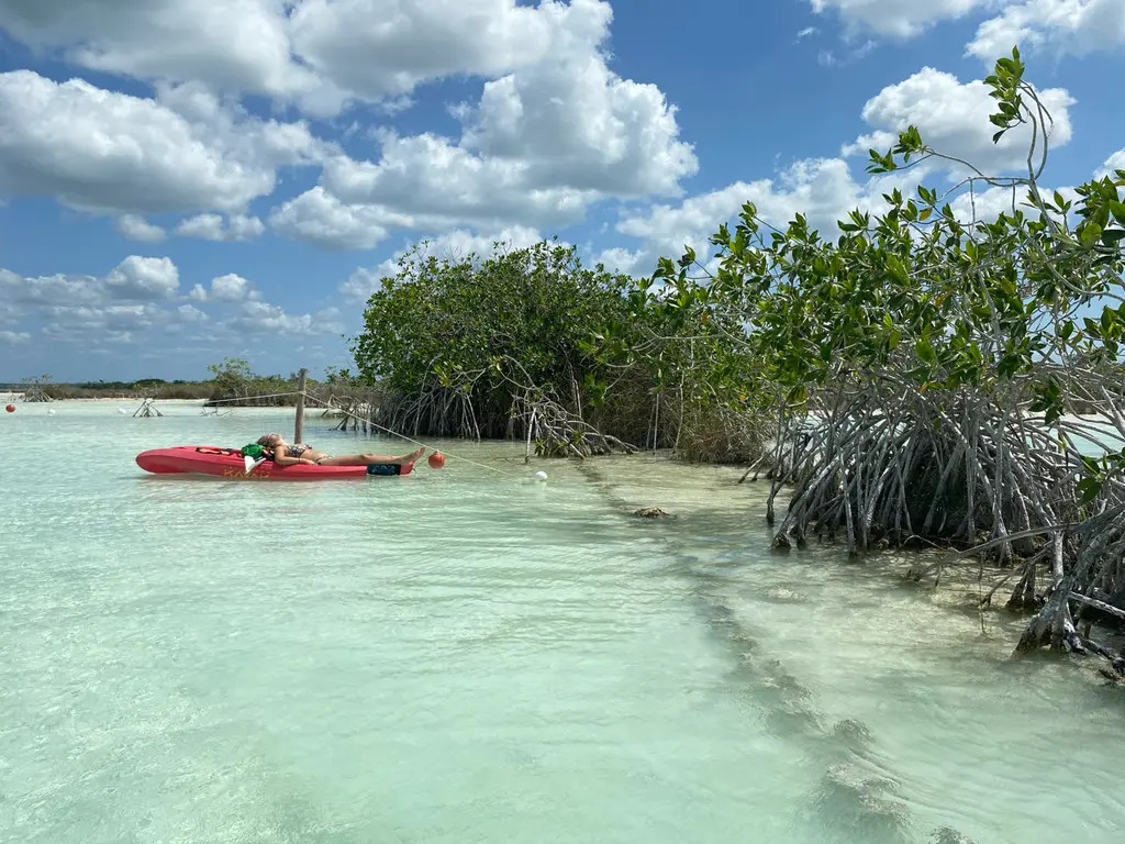 Bacalar