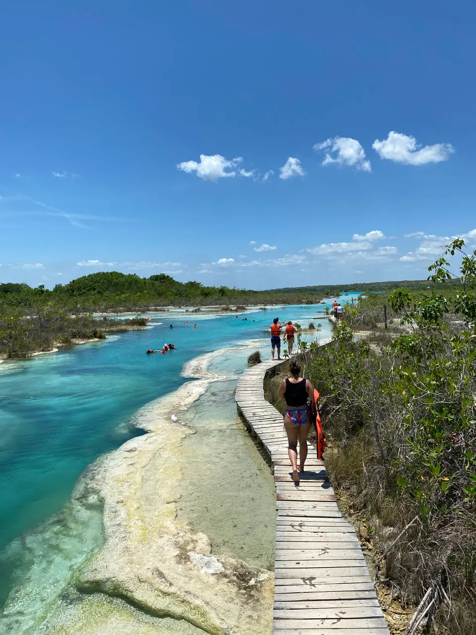 Bacalar