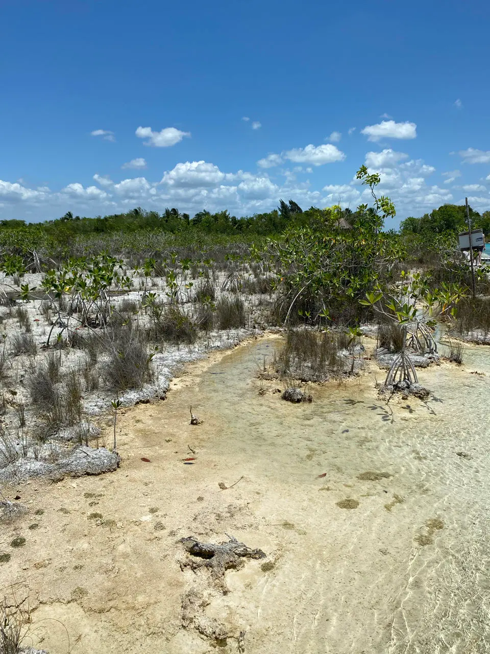 Los Rapidos 'Lagoon Club