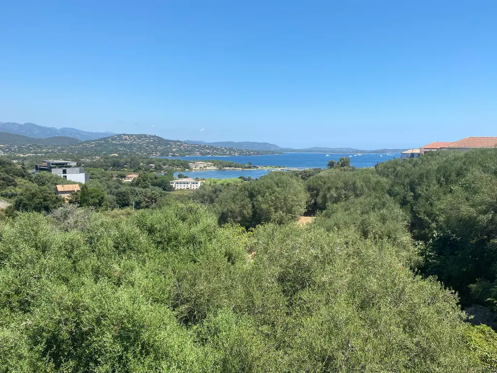 Porto vecchio