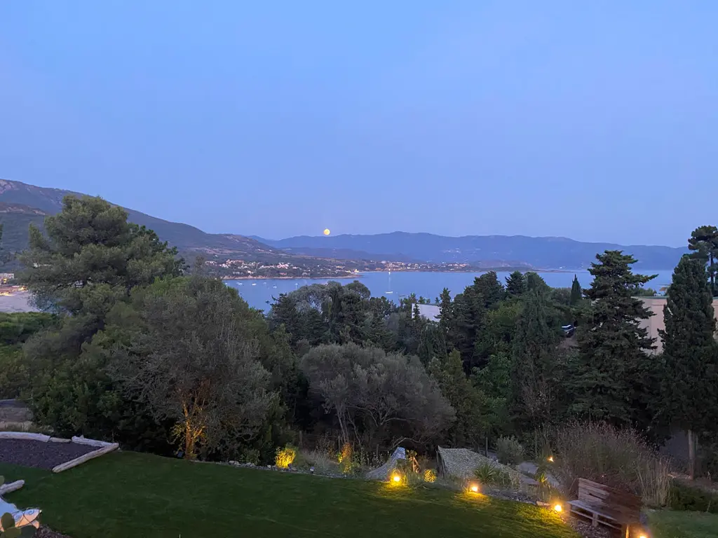 Bonifacio