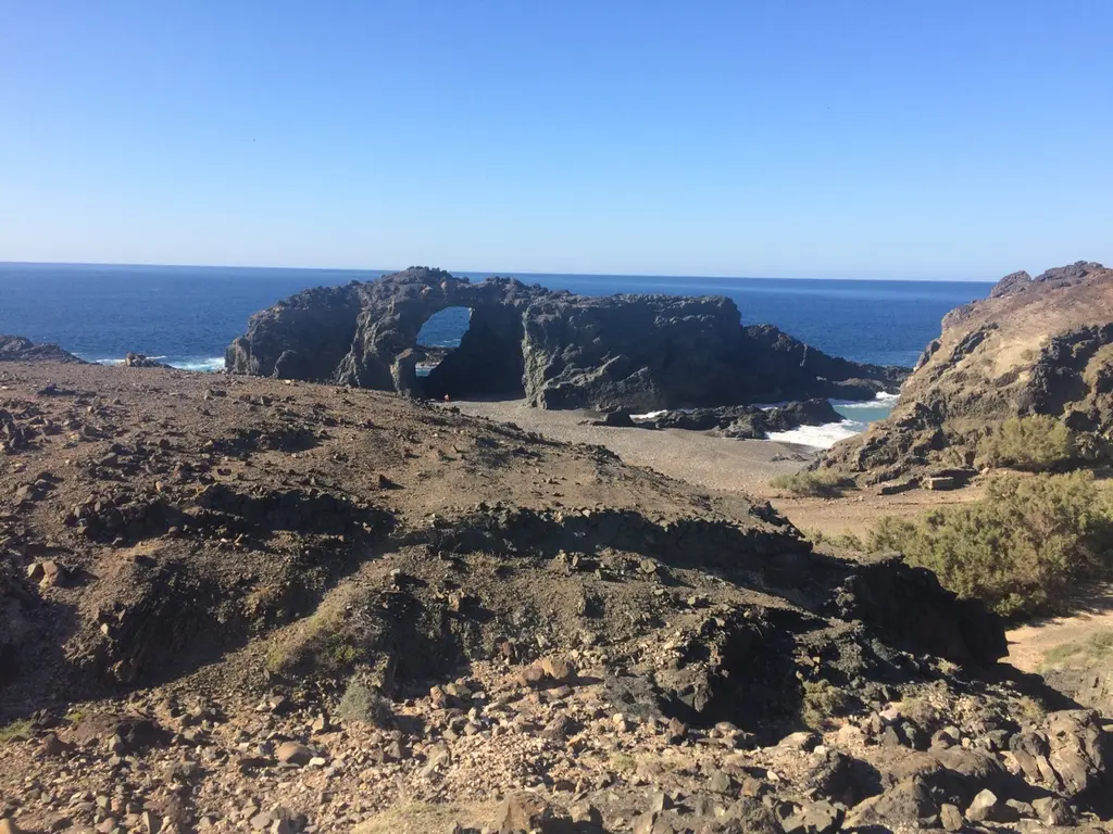 Pajara