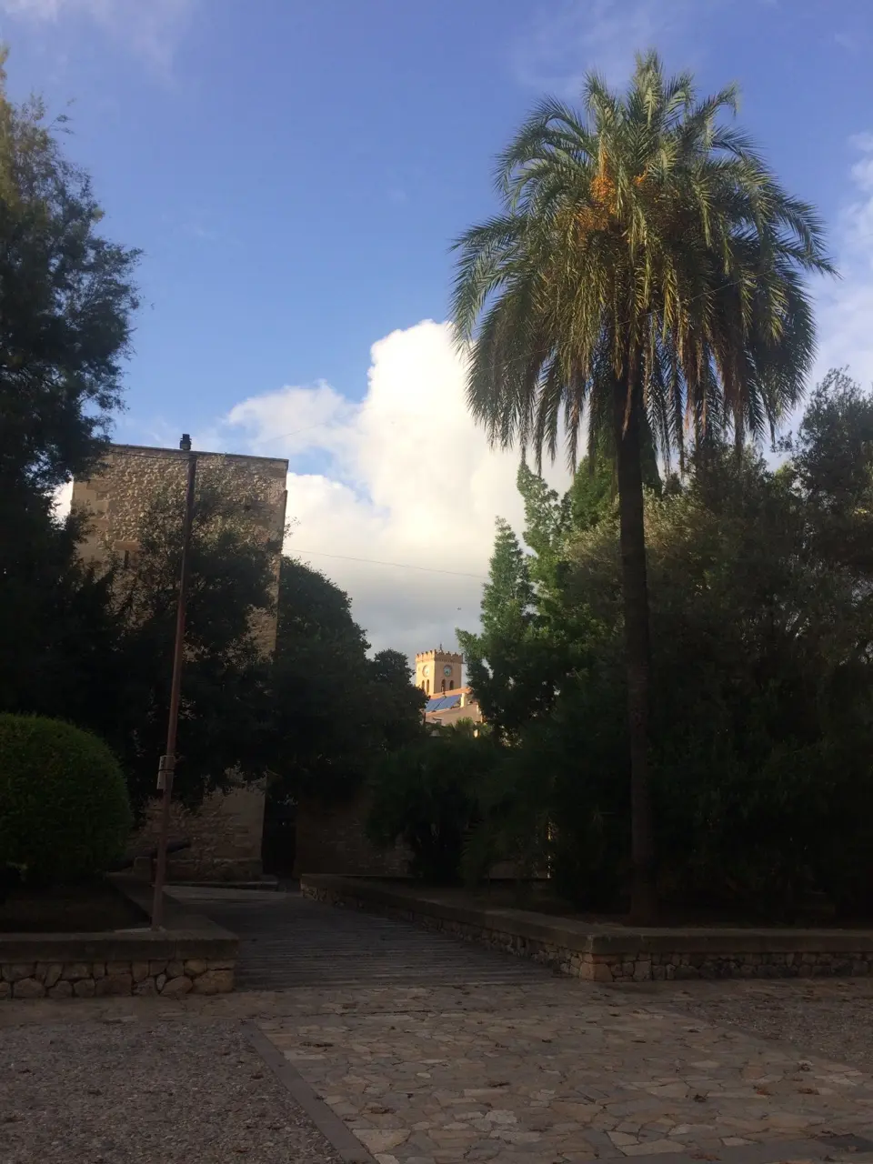Alcudia