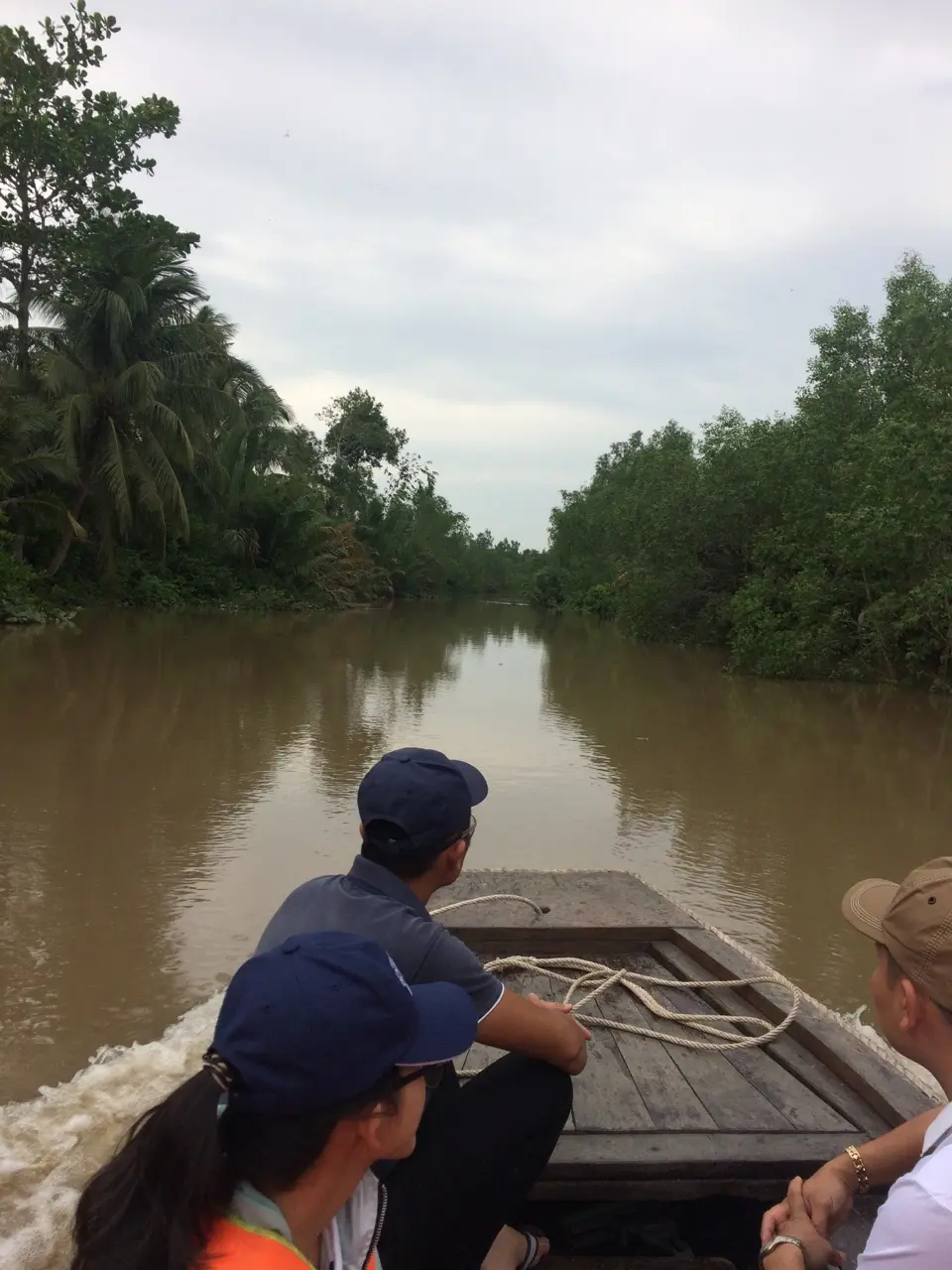 Mekong delta