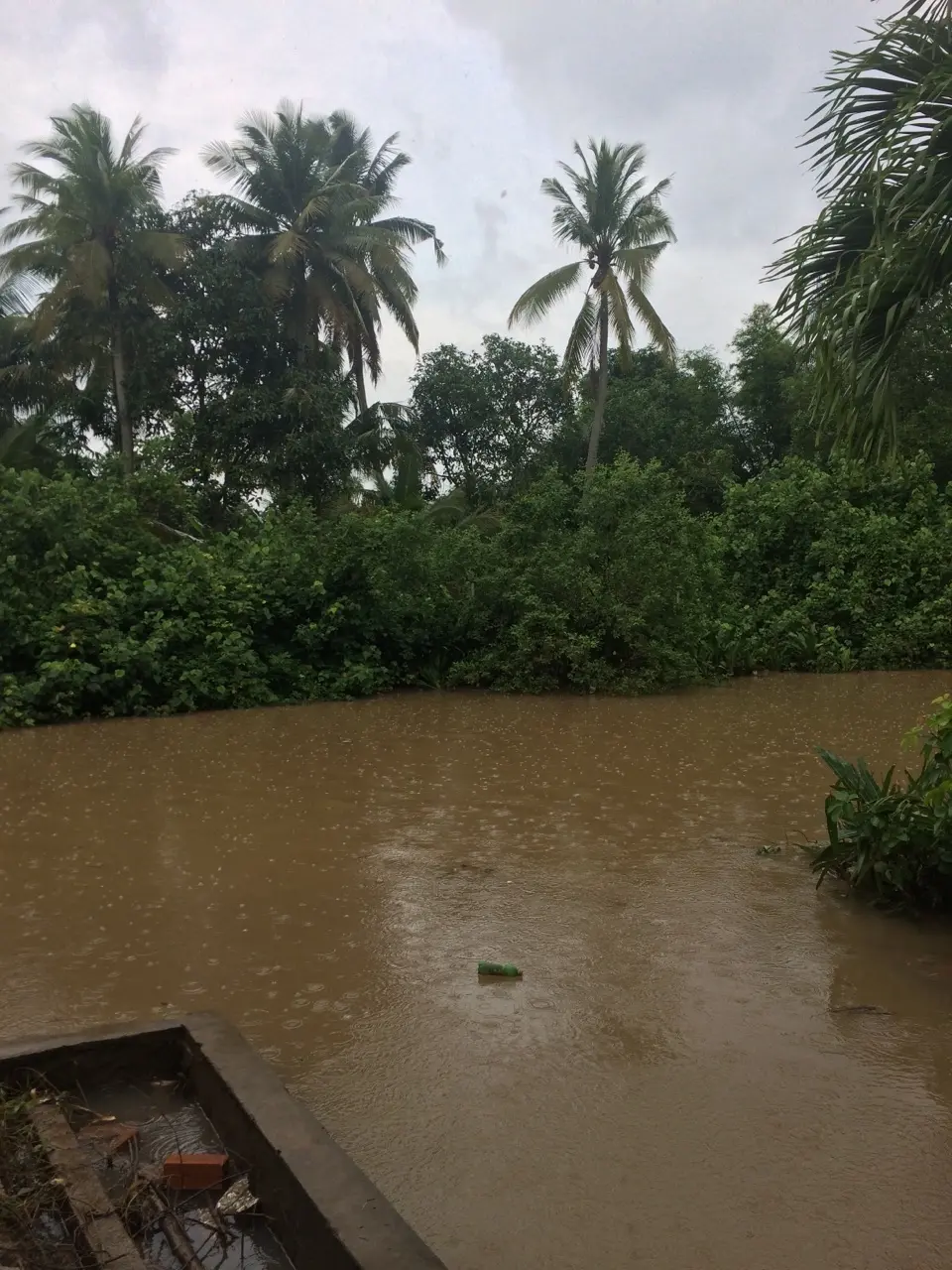 Mekong delta