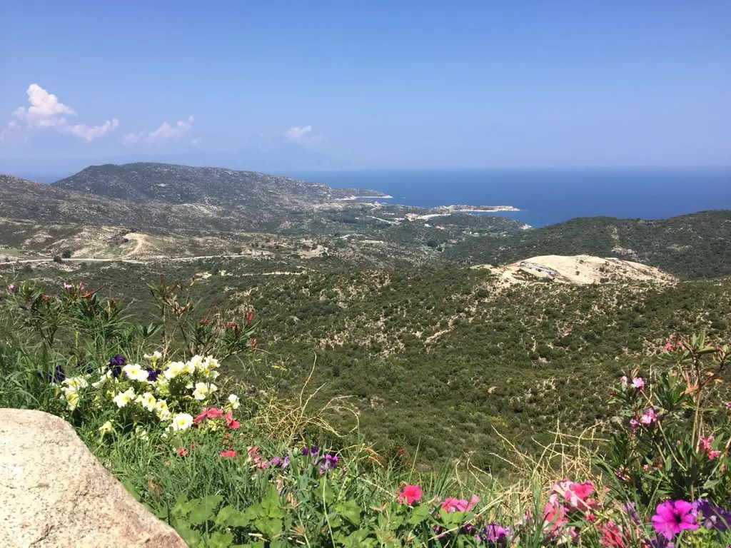 Nikiti