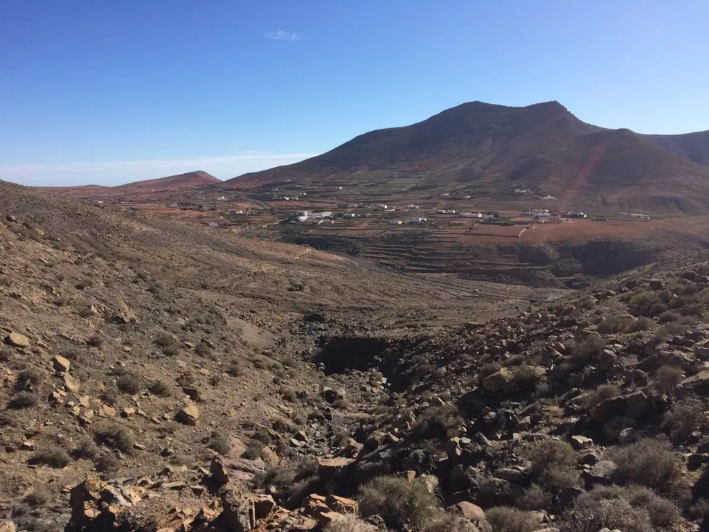 El cotillo