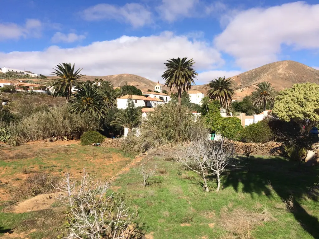 Pajara