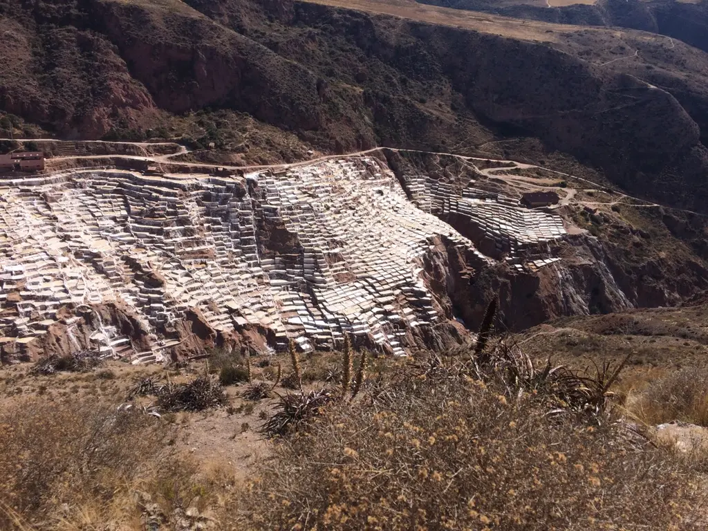 Maras