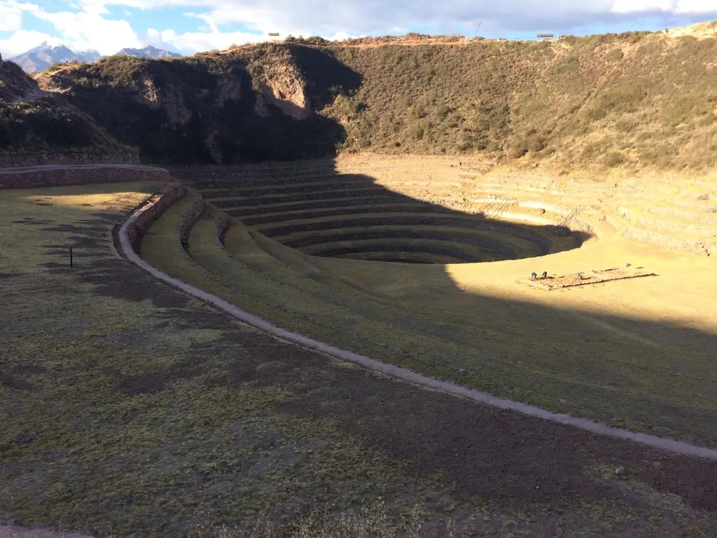 Maras