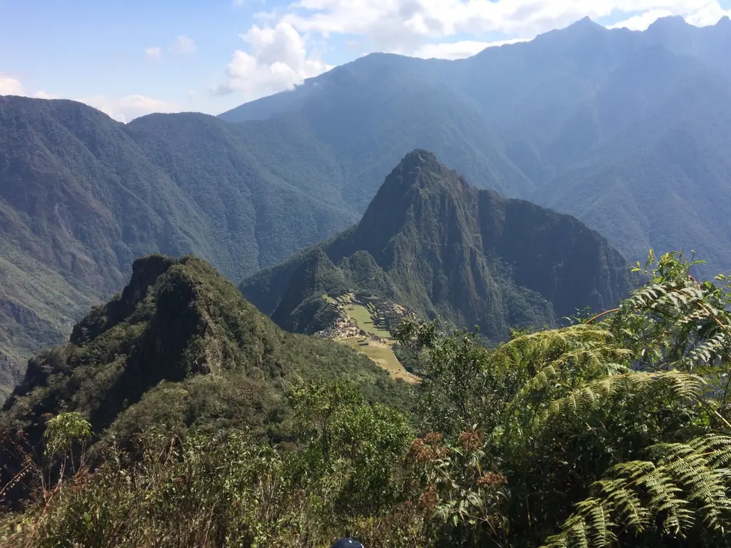 Santa teresa