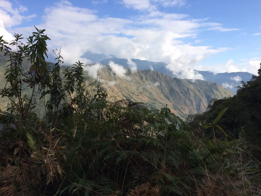 Santa teresa