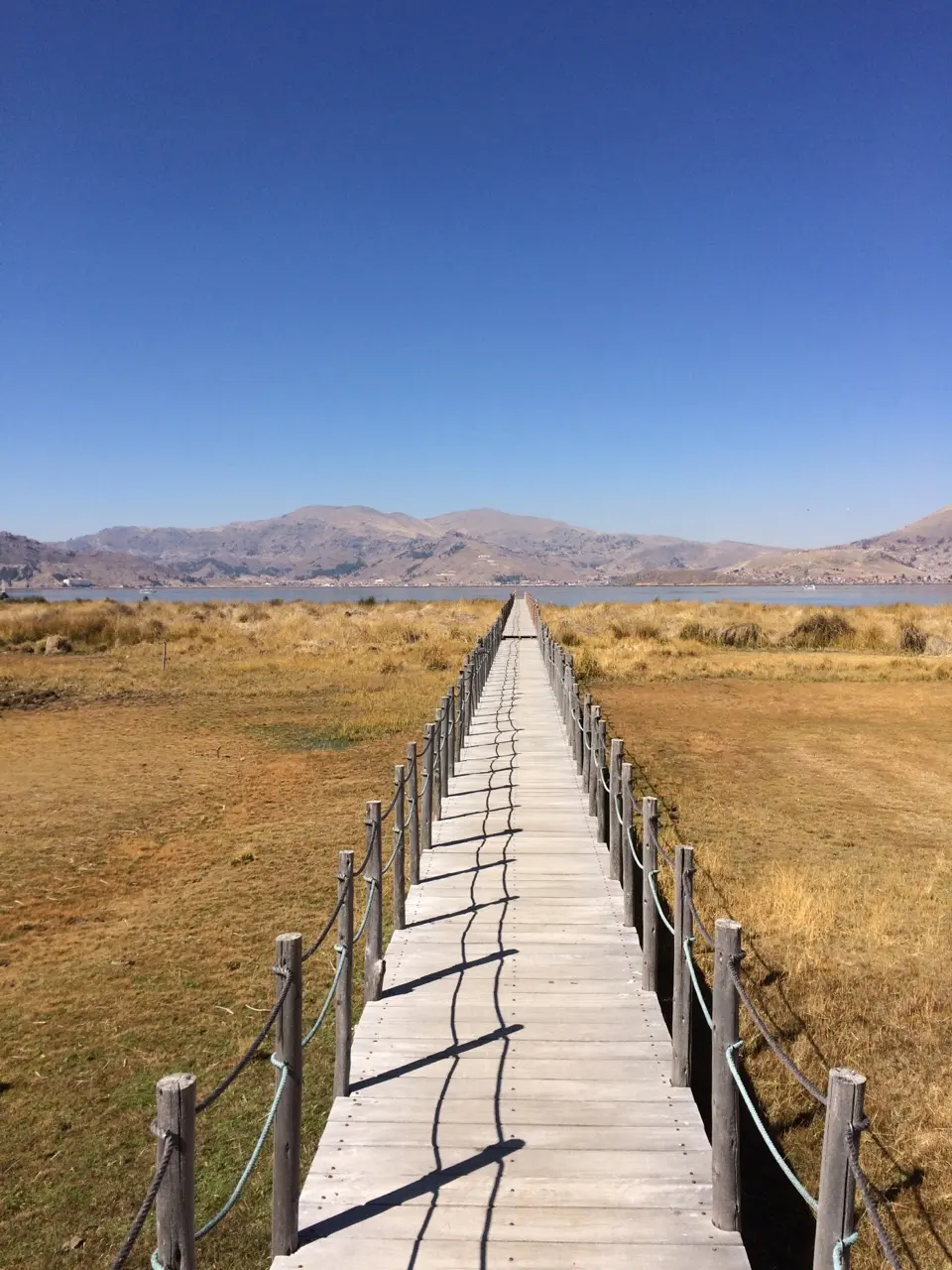 Puno