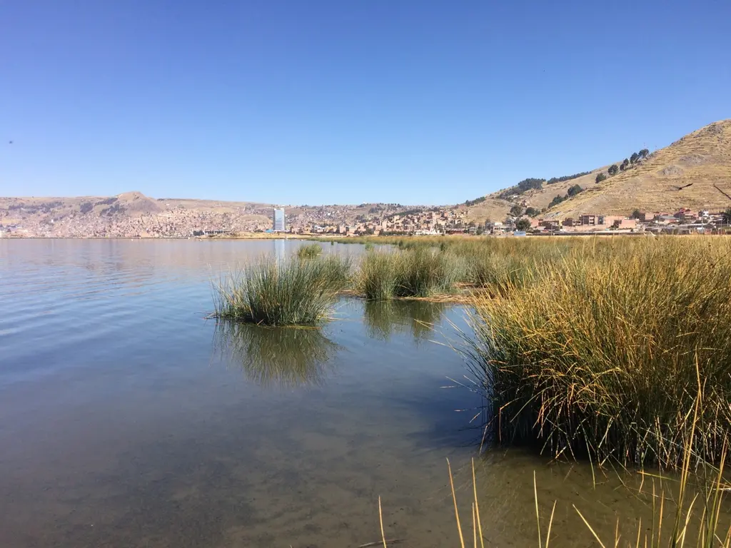 Puno