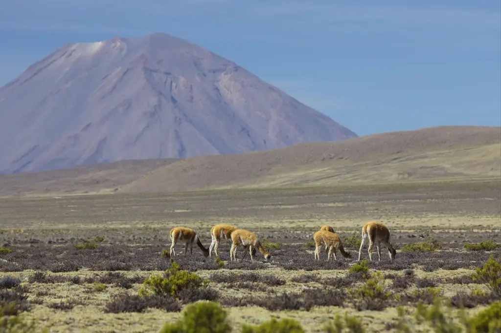 Coporaque: archief uit mijn Peru-reis