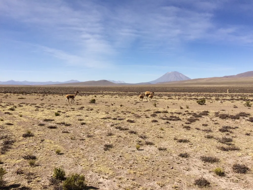 Arequipa: archief uit mijn Peru-reis
